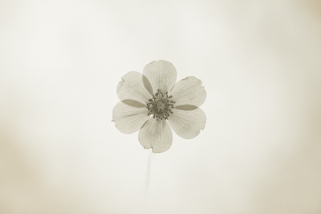 Helping Your Teen Navigate Social Media: Identity, Limits, What’s Age-Appropriate (2/3)