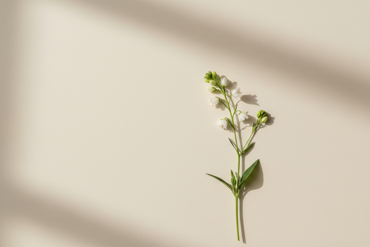 resetting your teen’s relationship with social media (1/3)