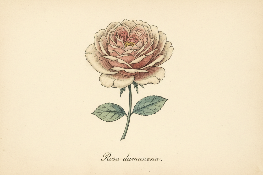 how social media actually impacts teen girls — what the research really says (2025) social media reset: part 3